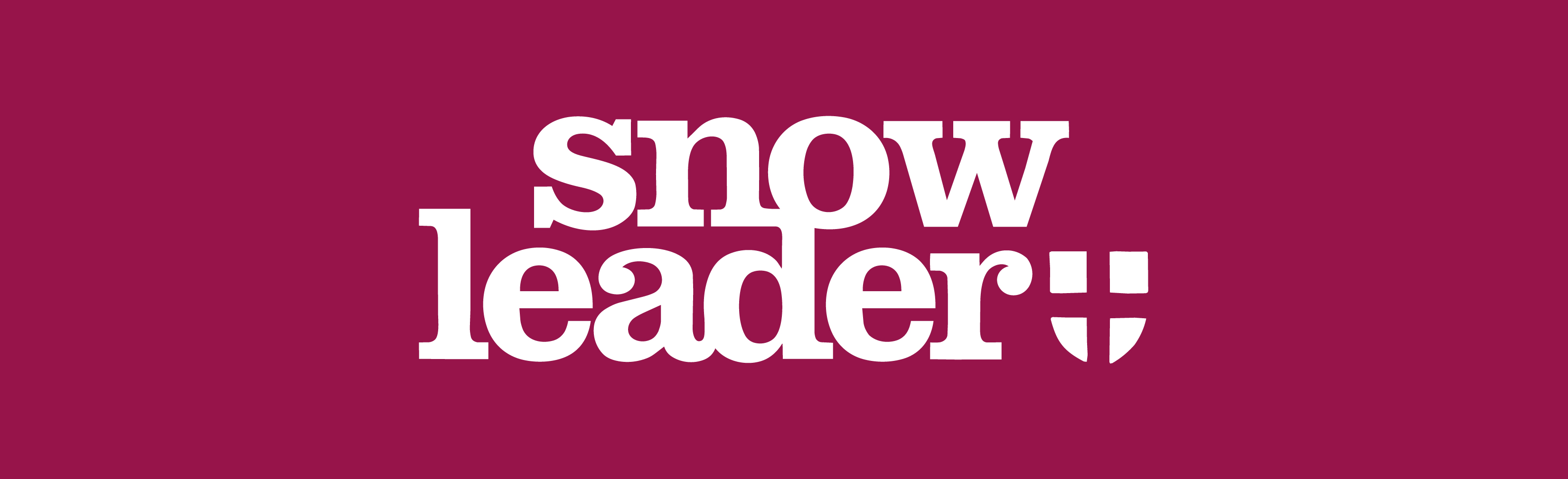 Logo Snowleader